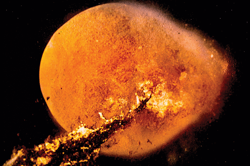 Bonner Kramer & Thurston Moore - They Came Like Swallows